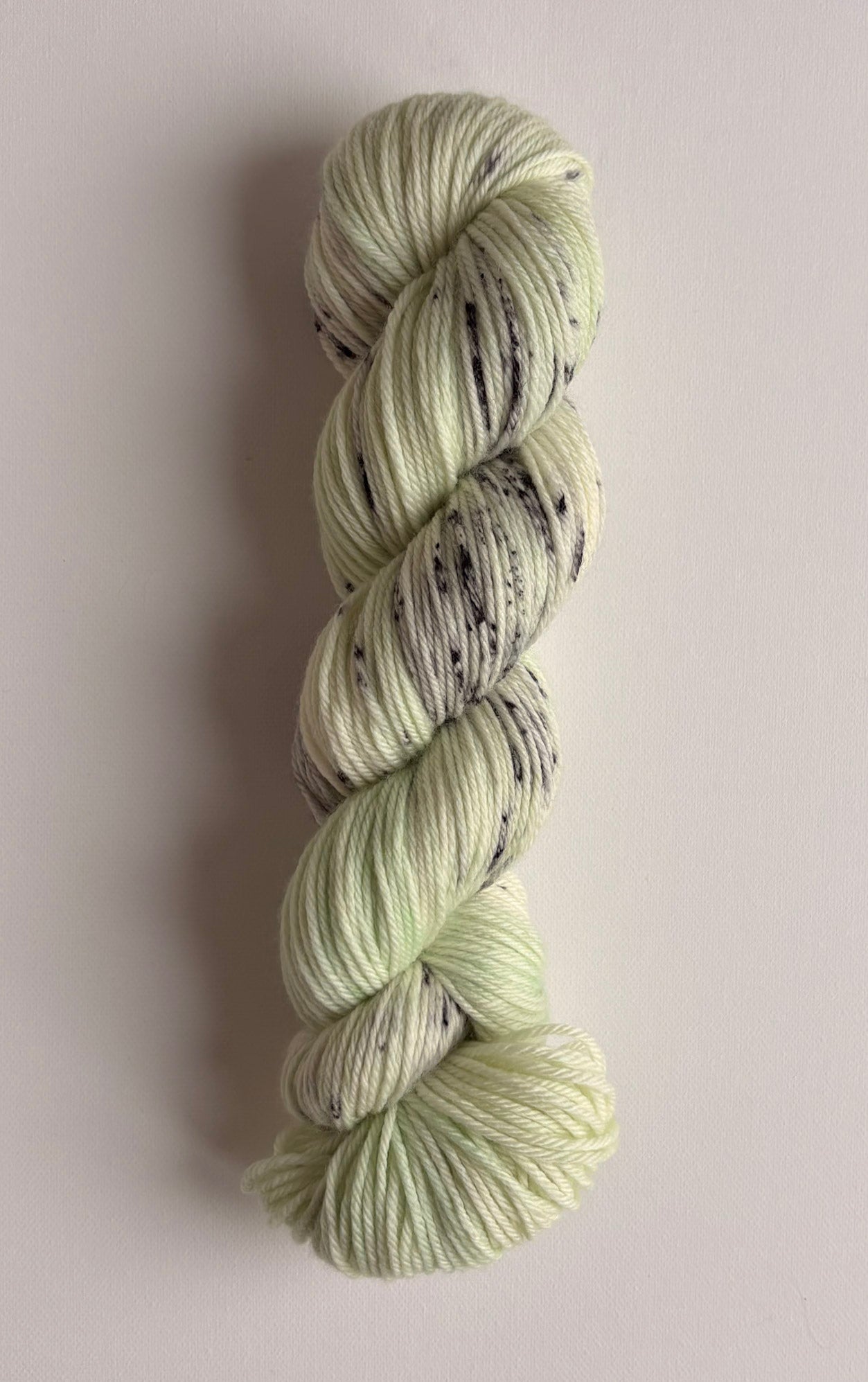 Merino Worsted - Moonlit Meadow