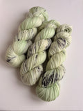 Merino Worsted - Moonlit Meadow