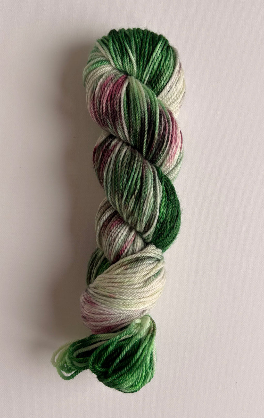 Merino Worsted - Wild Rose Garden