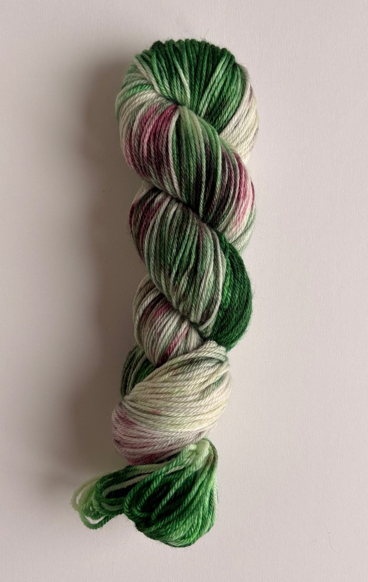 Merino Worsted - Wild Rose Garden